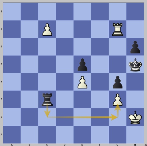 Anand sacrificed both bishops then knights to attack king side